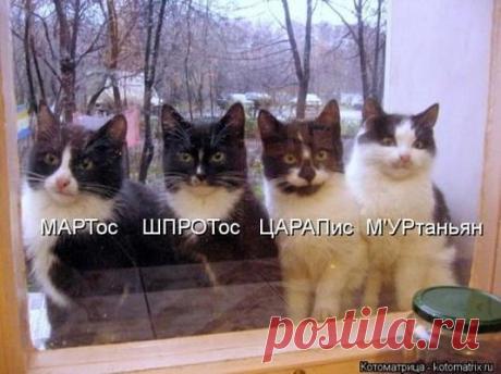 Марина Плешкова