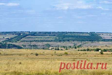 Сталинский план преобразования природы / Назад в СССР / Back in USSR