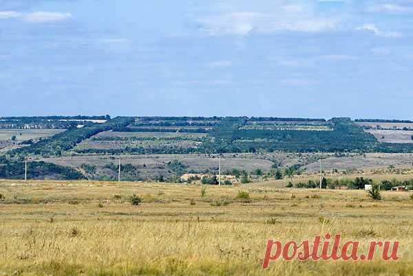 Сталинский план преобразования природы / Назад в СССР / Back in USSR