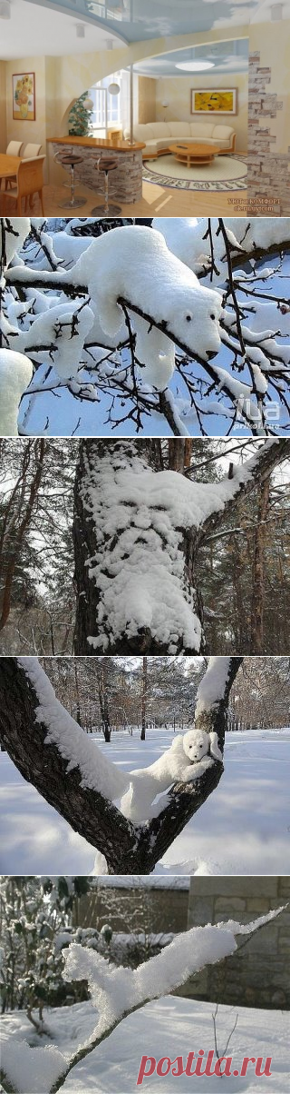 OK.RU