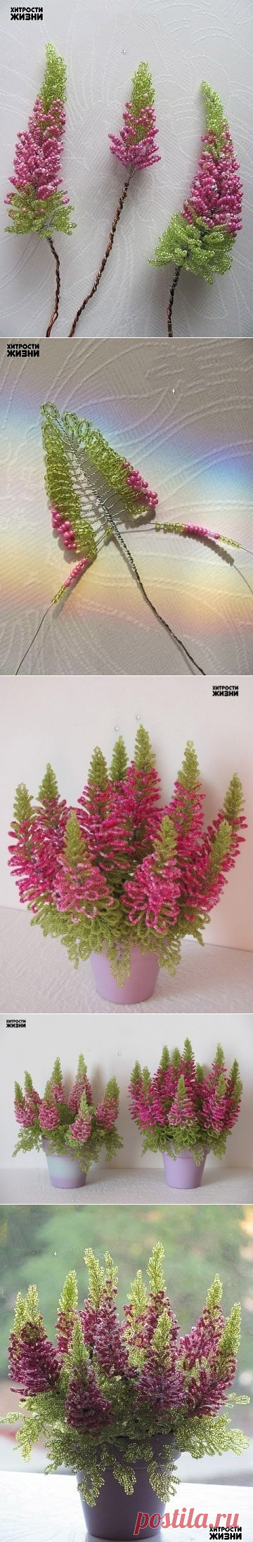 (65) Одноклассники