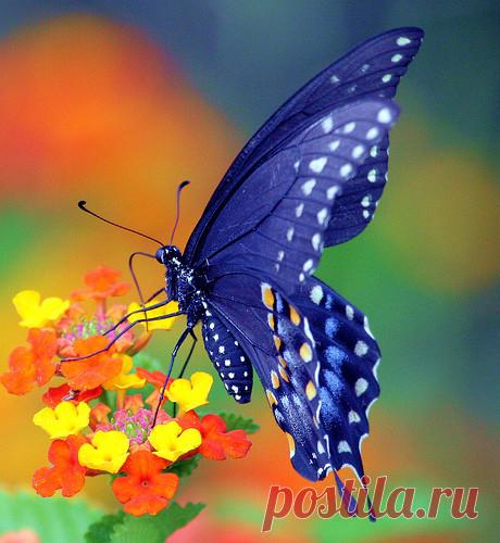 images - Page 132