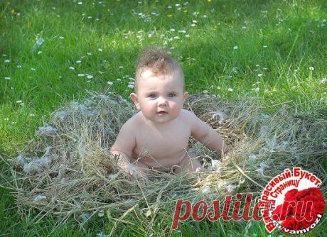 Орла никто не терял?)))