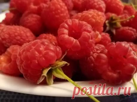 Как получить ведро малины с куста? Просто закопайте под растением это. Малина может давать по 8–10 кг ягод с куста, но для этого ей нужен точный «рацион» из минералов.