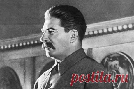 Как товарищ Сталин взял на поруки Героя Советского Союза | Поле брани | Яндекс Дзен