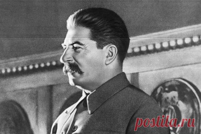 Как товарищ Сталин взял на поруки Героя Советского Союза | Поле брани | Яндекс Дзен