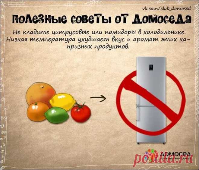 Полезные советы от "домоседа" в картинках - Советы на каждый день