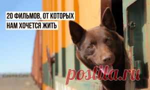 20 прекрасных фильмов, которые стоит посмотреть влюбленным