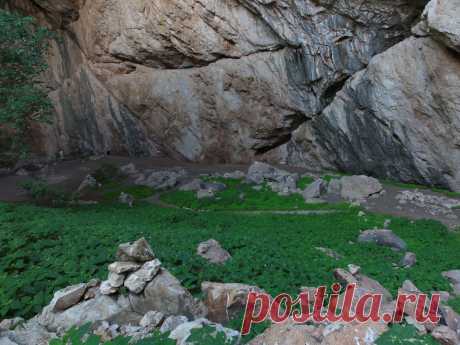 Узоры на стенах различного цвета и фактуры,местами будто многочисленные отпечатки человеческих пальцев,местами будто замершие гримасы,похожие на мордочки духов...