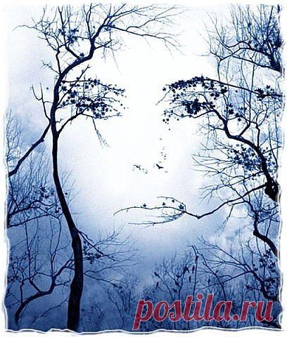 (72) Одноклассники