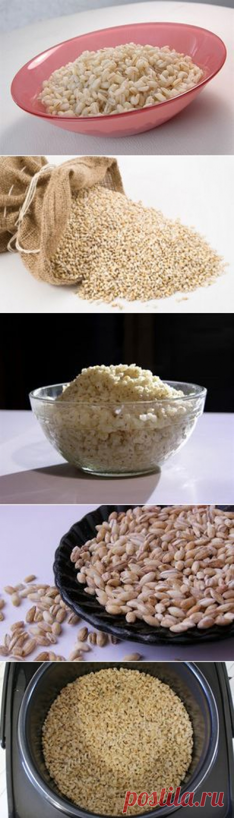 Как правильно варить перловую кашу: перловка вкусная и полезная