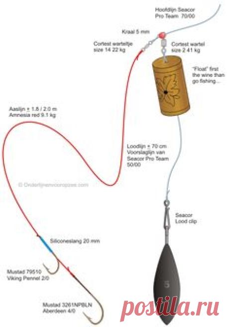 (2) Pinterest
