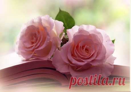 Мой Мир@Mail.Ru