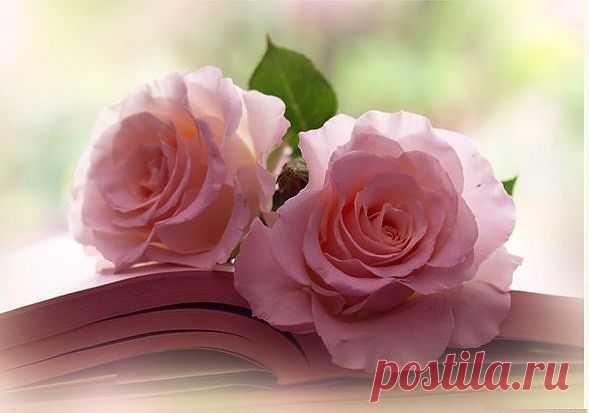 Мой Мир@Mail.Ru