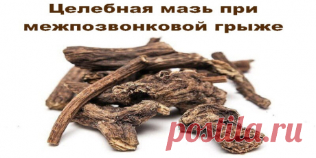 Целебная мазь при межпозвонковой грыже | Полезные советы