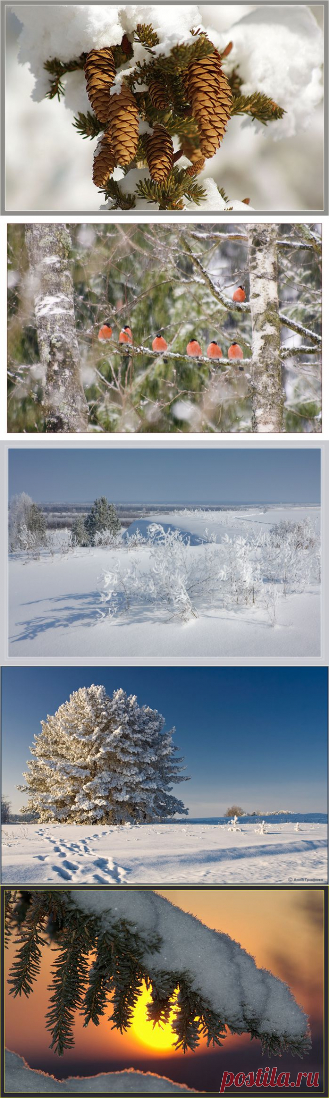 Зимнее настроение (стихи и фото).