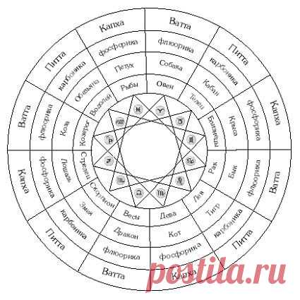 Аюрведические конституции