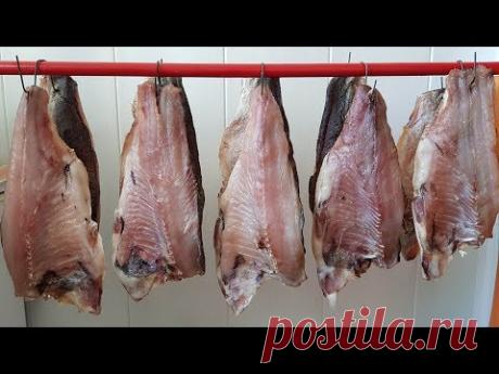 Балык из Толстолобика. Выпуск №396