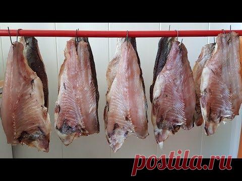 Балык из Толстолобика. Выпуск №396