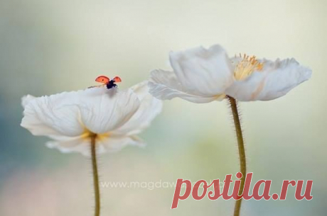 милые мгновенья