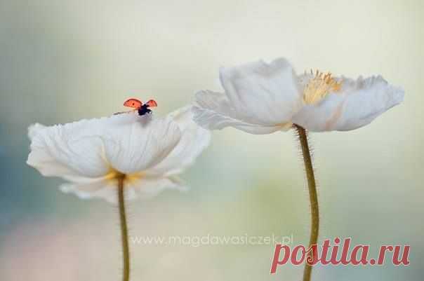 милые мгновенья