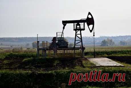 Стало известно о выходе «Газпром нефти» на исторический максимум добычи. Заместитель главы «Газпром нефти» Вадим Яковлев в ходе Тюменского промышленно-энергетического форума (TNF) заявил, что в настоящее время добыча компании находится на историческом максимуме, показатели превысили допандемийный уровень. В 2021 году добыча увеличилась на 5,6 процента, достигнув 100 миллионов тонн.