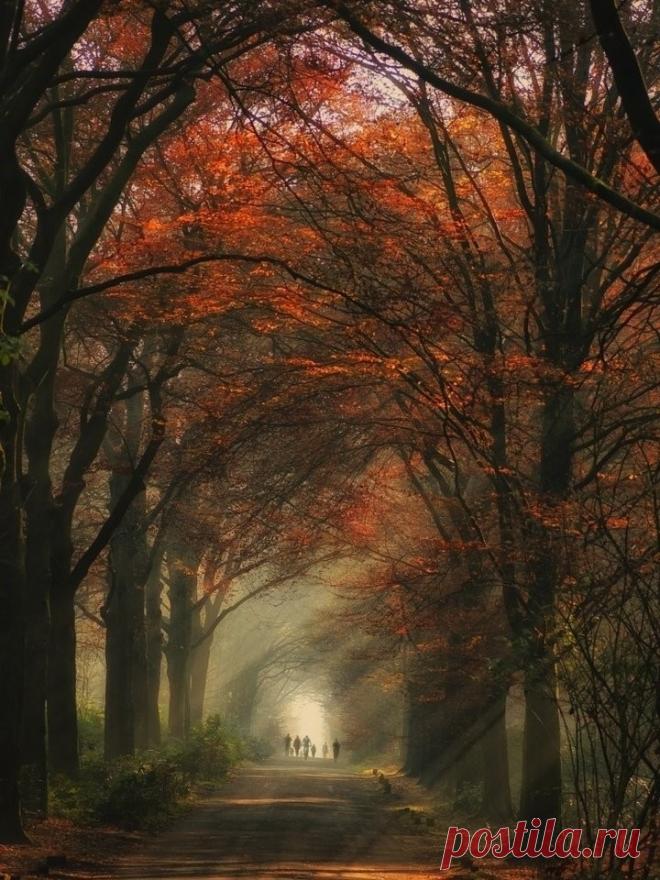 Где судьба бы вам жить не велела - 
В блеске бала иль в сельской тиши, 
Расточайте без счёта и смело 
Все сокровища вашей души!

Анастасия Цветаева