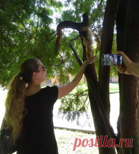 #люди_и_белки