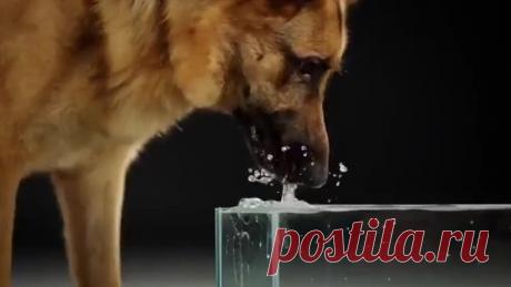 upload_253760014_file