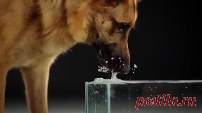 upload_253760014_file