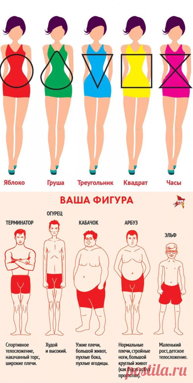 Как правильно рассчитать идеальное соотношение веса и роста (таблицы)