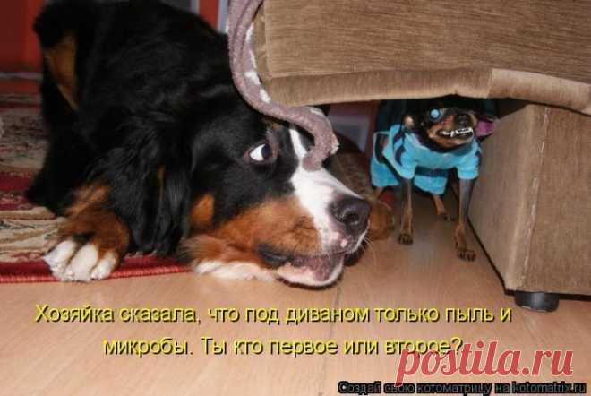 Играл на компе в рыбалку. Поставил РЕАЛИСТИЧНОСТЬ на максимум. В итоге два часа тупо просидел перед экраном. Не клевало... (котоматрицы)