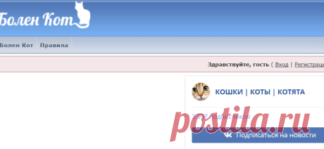 !!!!!--ПАМЯТКА Владельцу Кошки - Форум о болезнях и лечении кошек
