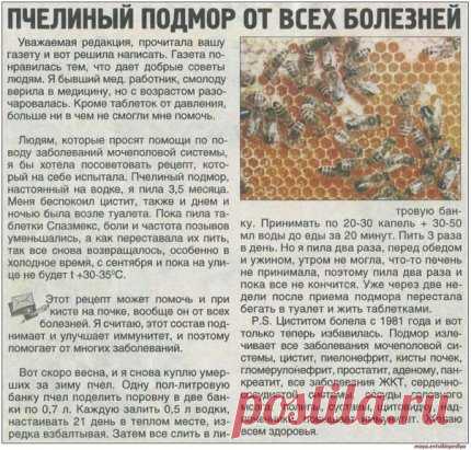 ЧУДО ПРОПОЛИС ОТ СОТНИ БОЛЕЗНЕЙ