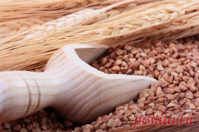 О ПОЛЬЗЕ ГРЕЧКИ - Журнал Советов 1. По содержанию незаменимых аминокислот белок гречихи приближается к продуктам животного происхождения и потому считается равноценной заменой мяса. При этом усваивается греча намного лучше. 2. Гречка стабилизирует уровень сахара в крови. После употребления гречневой каши в пищу, уровень сахара повышается медленно, а не скачкообразно, как при употреблении других углеводсодержащих продуктов. 3. Гречневая крупа богата фолиевой […]