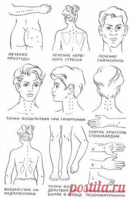 Лечебные точки на теле