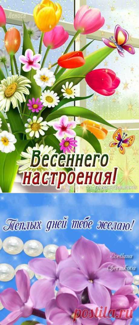 Наталья Сажина