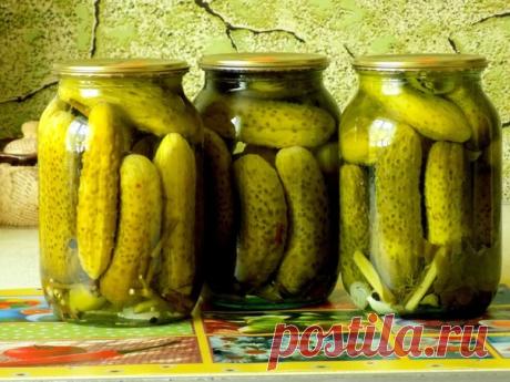 Маринованные огурцы хрустящие и очень вкусные!

Ингредиенты (на 1 л банку):
2 кг мелких огурчиков,
2 зубчика чеснока,
1 морковь,
1 зонтик укропа,
1 веточка петрушки,
1 ч.л. уксусной эссенции.

Для маринада:
1 л воды,
1 ст.л. соли (с горкой),
2 ст.л. сахара,
5 горошин чёрного перца,
3 листика вишни,
3 бутона гвоздики.

Приготовление:
Вымочите в воде огурцы в течение 6 часов, затем уложите в банки вместе с чесноком, морковкой, укропом и петрушкой. Залейте банки с огурцами ки...