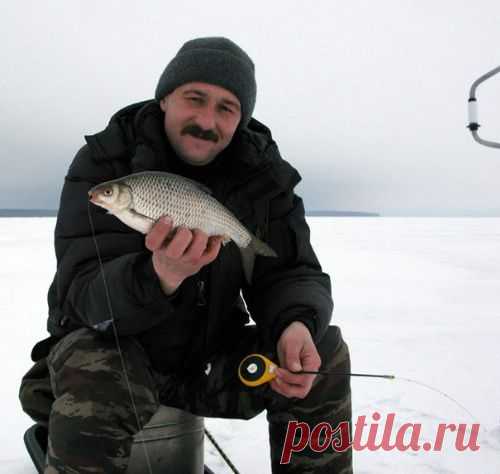 Ловля плотвы зимой на безмотылку