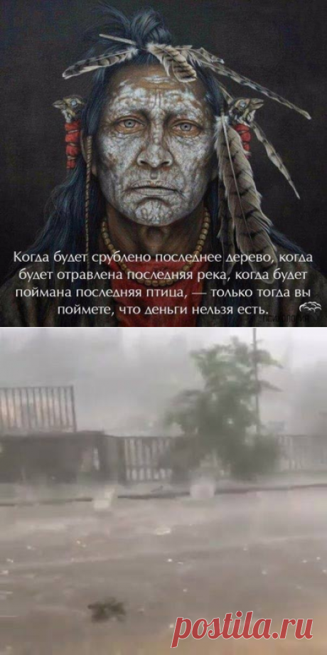 Вадим Александрович Бабич поделился публикацией. - Вадим Александрович Бабич
