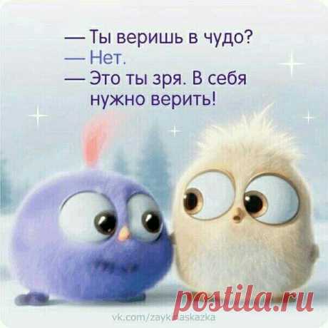 Приколы