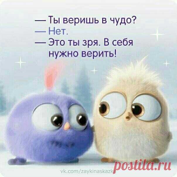 Приколы