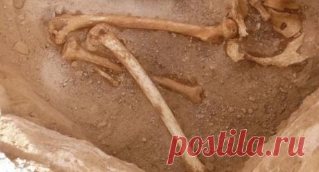 В Китае нашли скелет девушки обезглавленной во времена неолита При раскопках руин города Цинтана в провинции Гуандун археологи обнаружили древнюю гробницу, в которой находились останки обезглавленной девушки. Что