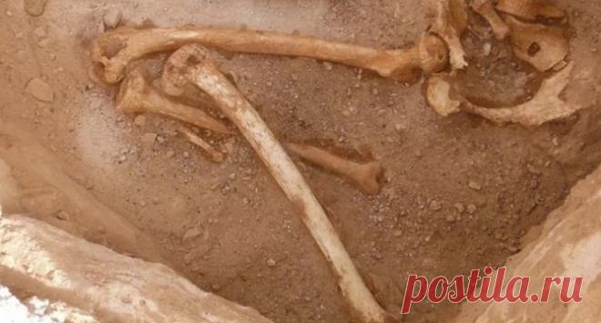 В Китае нашли скелет девушки обезглавленной во времена неолита При раскопках руин города Цинтана в провинции Гуандун археологи обнаружили древнюю гробницу,  в которой находились останки обезглавленной девушки. Что