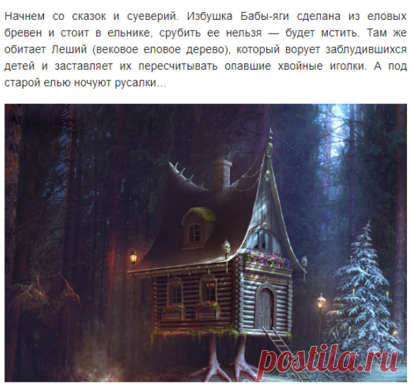 Вот почему нельзя сажать ель возле дома