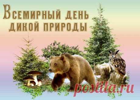Вымирают год от года
Виды пташек и животных.
И у дикой есть природы
Свои вечные заботы.