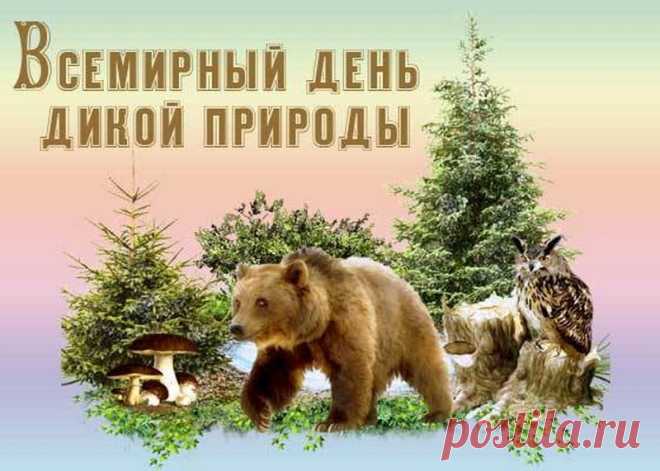 Вымирают год от года
Виды пташек и животных.
И у дикой есть природы
Свои вечные заботы.