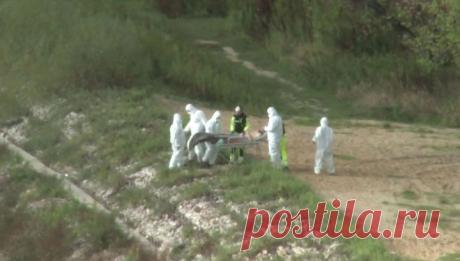 Видео с пойманной в Висле русалкой взорвало Интернет