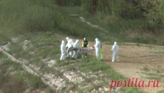 Видео с пойманной в Висле русалкой взорвало Интернет