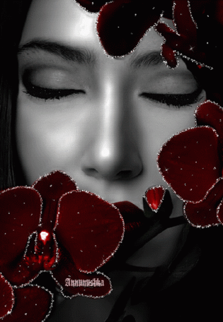 s-13470.gif (346×500)